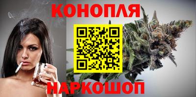 стаф Дубна