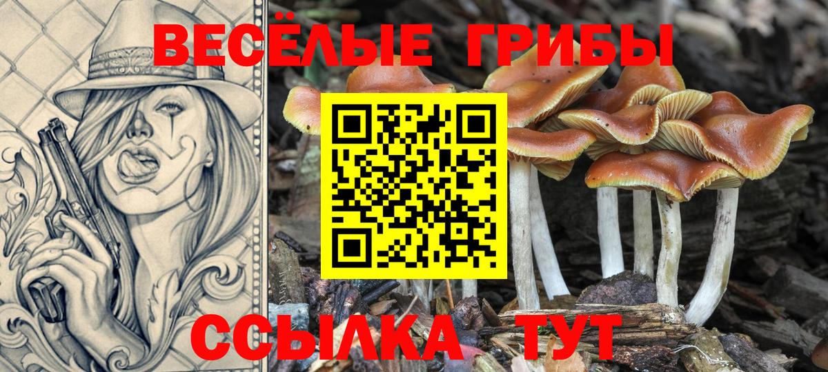 Галлюциногенные грибы мухоморы  Вход с VPN  Галлюциногенные грибы мухоморы  Миасс 